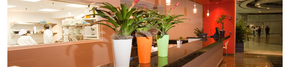 Nuestros Restaurantes